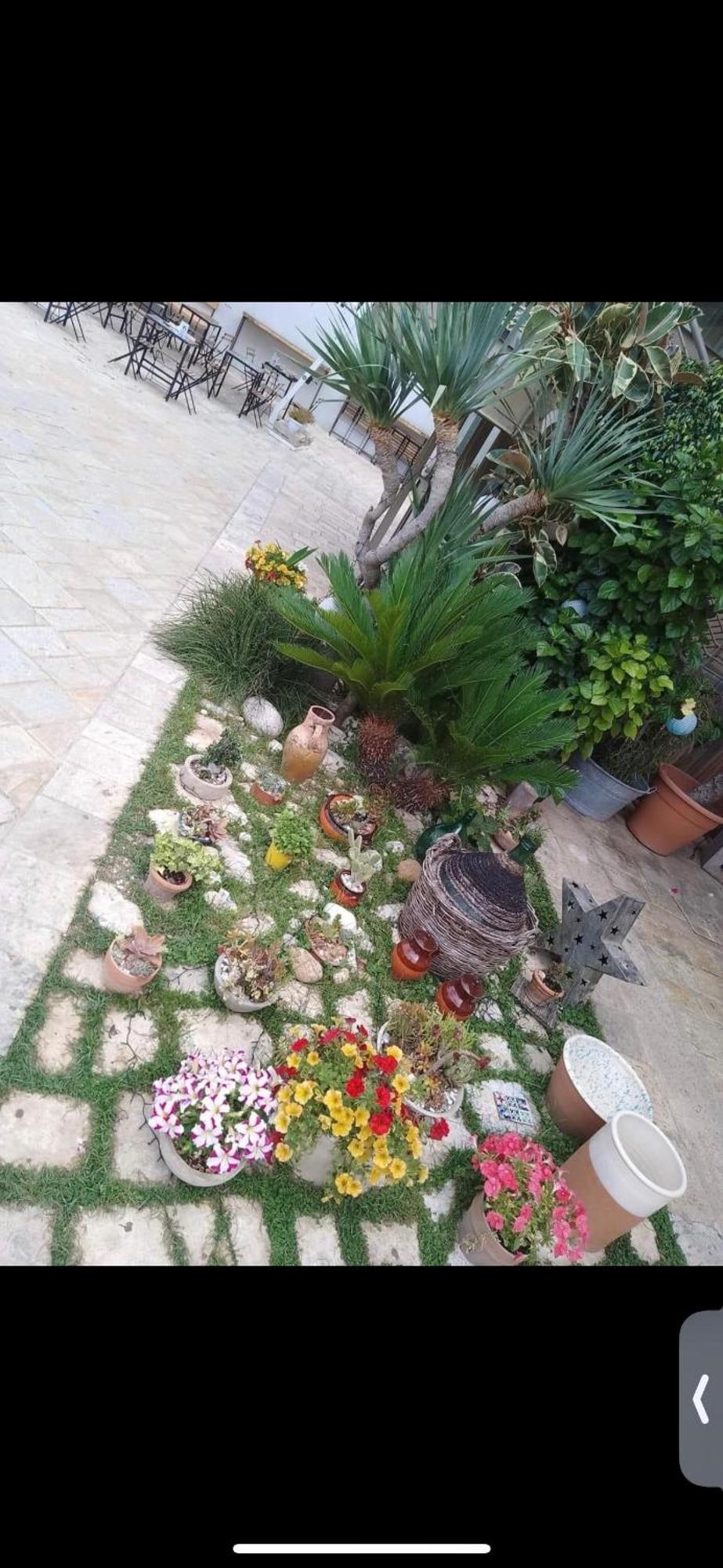 Vico Luxury Room Mesagne Exterior foto